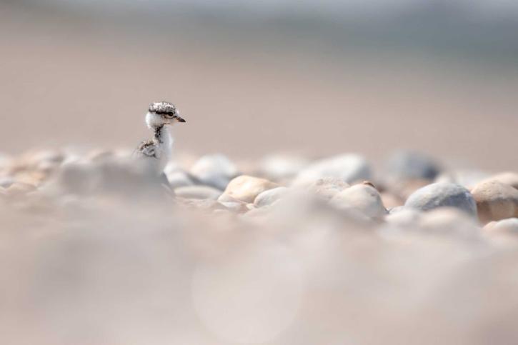 Concours photo 5