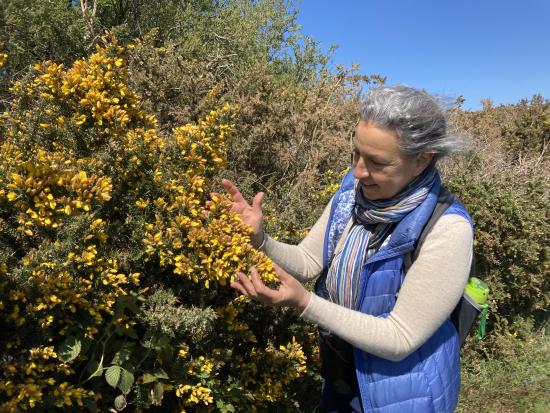 Les sorties nature de Caroline