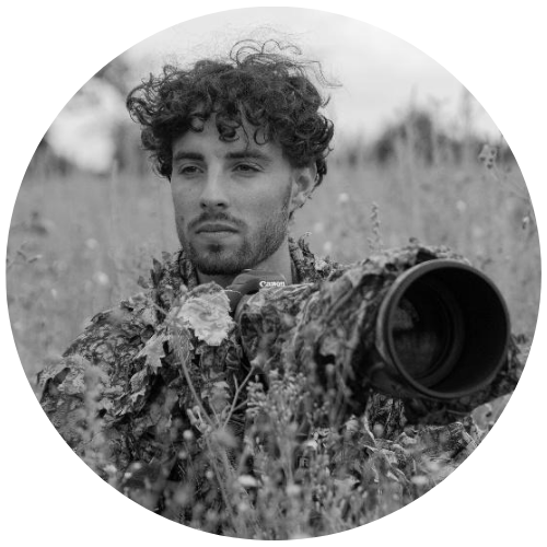 Pablo DA COSTA - « Entre Illusion et Réalité »